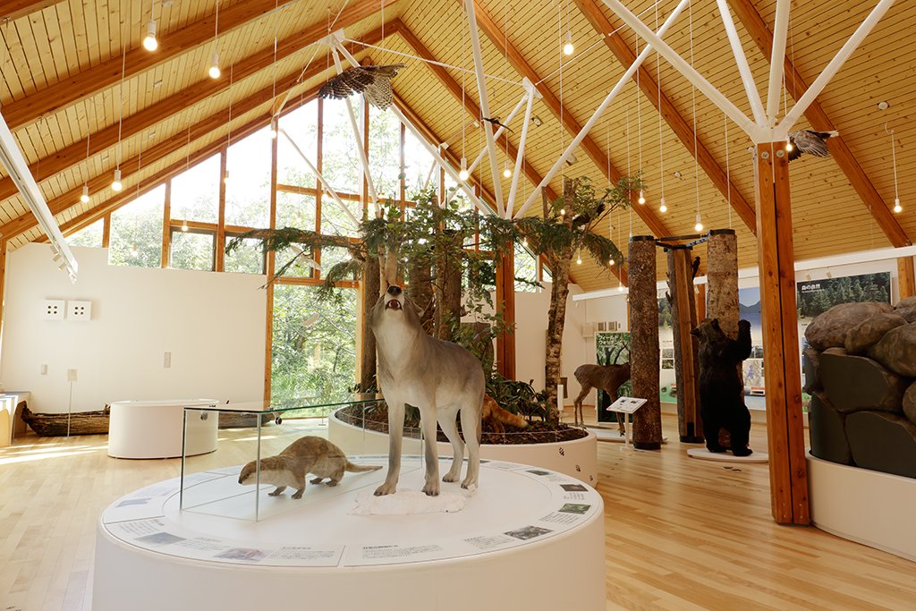 🏞️ 히가시 대설 자연관(히가시타이세츠시젠칸) 이미지 6